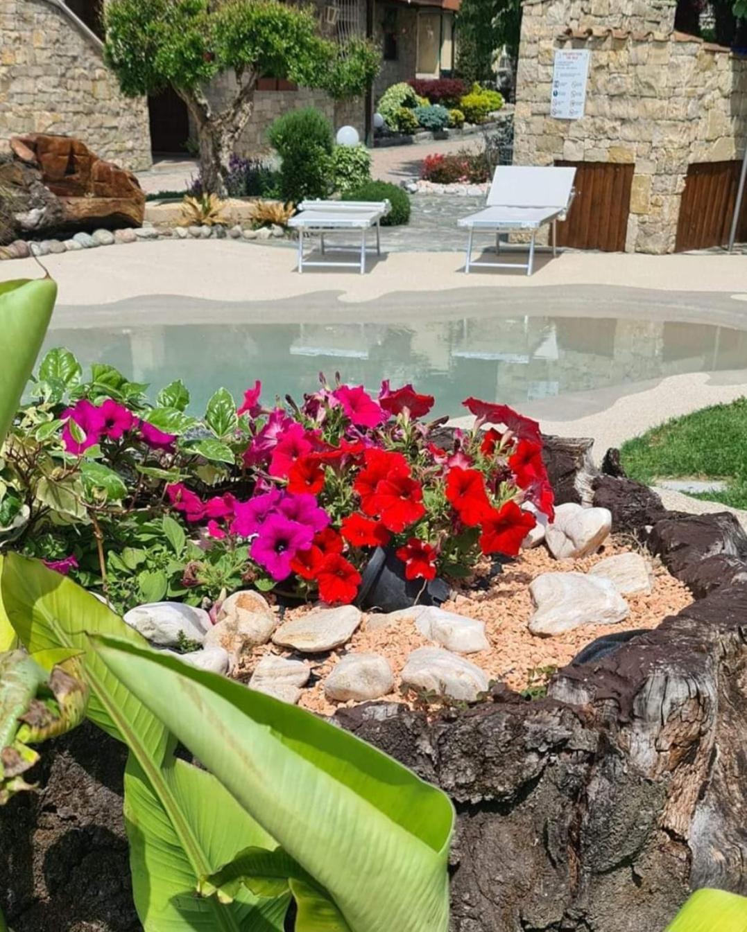 B&B Le Palme Appiano Gentile Extérieur photo